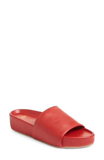 Shop Beek Pelican Platform Slide Sandal In Red