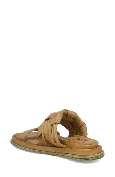 Shop As98 Purt Sandal In Camel
