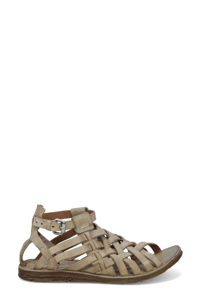 Shop As98 Ralston Strappy Sandal In Taupe