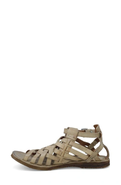 Shop A.s.98 Ralston Strappy Sandal In Taupe