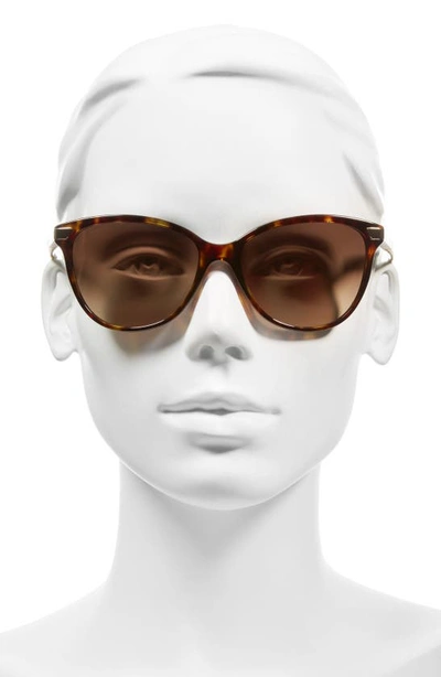 Shop Burberry 57mm Cat Eye Sunglasses In Dark Tortoise