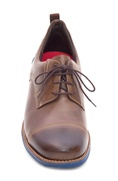 Shop Sandro Moscoloni Jared Straight Tip Blucher Oxford In Brown
