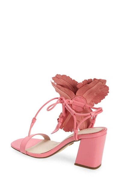 Shop Cecelia New York Hibiscus Sandal In Cano Rose