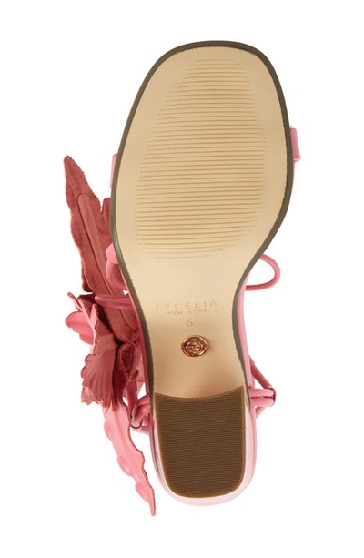 Shop Cecelia New York Hibiscus Sandal In Cano Rose