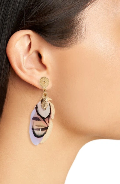 Shop Gas Bijoux Small Sao Feather Earrings In Purple Mix
