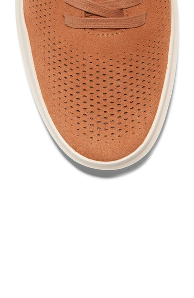 Cole Haan Grandpro Rally Sneaker In Acorn