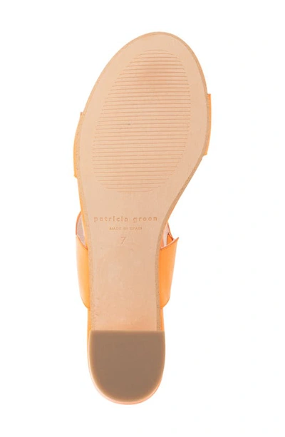 Patricia Green Palm Beach Slide Sandal In Orange Leather