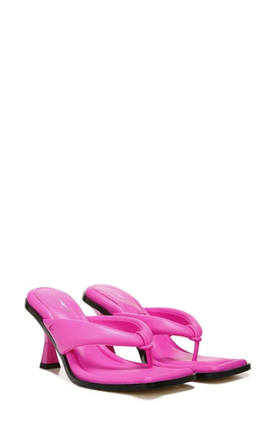 Shop Sam Edelman Skeet Sandal In Pink Punch