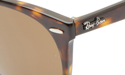 Shop Ray Ban Wayfarer Ii 55mm Sunglasses In Striped Havana Solid