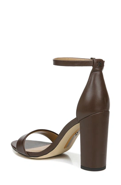 Shop Sam Edelman Yaro Ankle Strap Sandal In Dark Chocolate