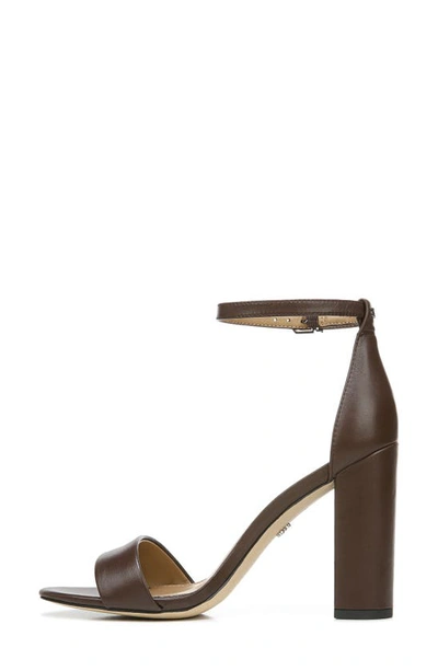 Shop Sam Edelman Yaro Ankle Strap Sandal In Dark Chocolate