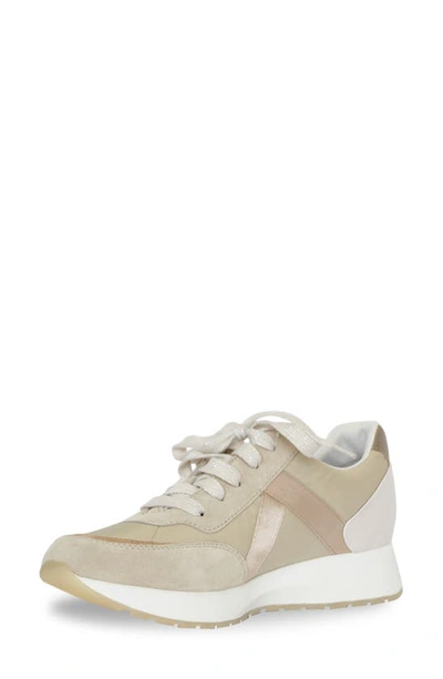Shop Munro Piper Sneaker In Khaki/ Gold Suede