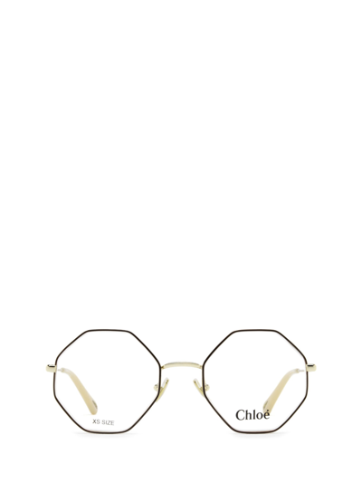 Shop Chloé Ch0022o Burgundy & Gold Glasses