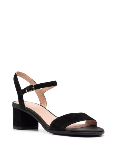 Geox Aurely 50 Suede Sandals In Schwarz