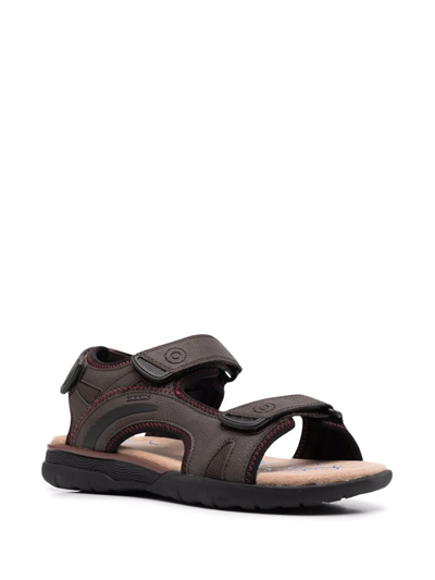 Shop Geox Spherica Ec5 Leather Sandals In Braun