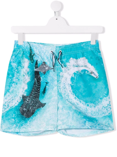 Shop Molo Teen Boat Spin Swim Shorts In Blau