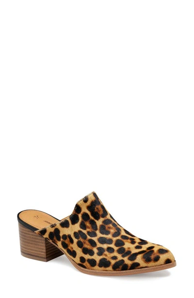 Shop Johnston & Murphy Trista Genuine Calf Hair Mule In Leopard Print Calf Hair