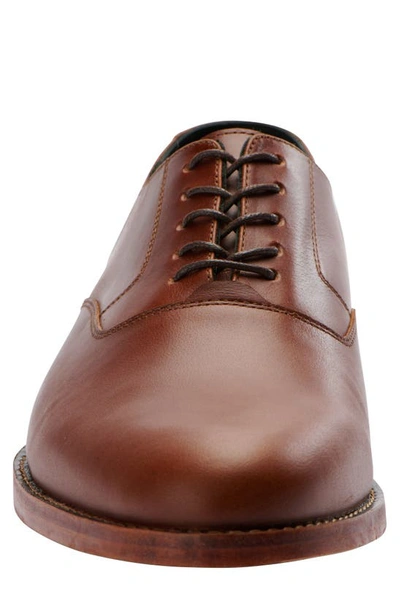 Shop Nisolo Everyday Oxford In Brandy