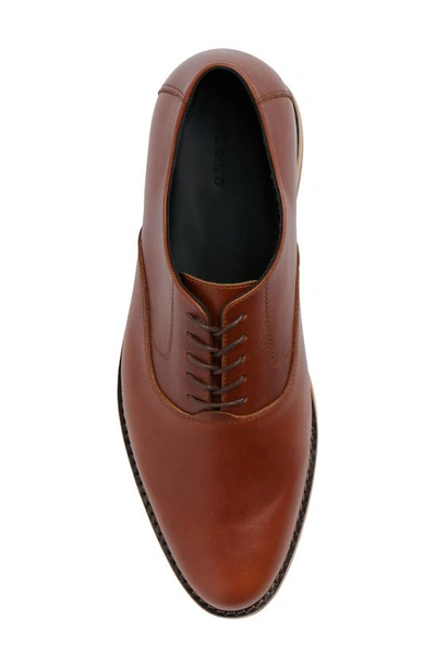Shop Nisolo Everyday Oxford In Brandy