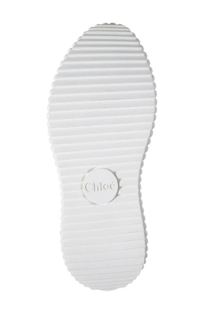 Chloé Sneakers In Cosmic Blue