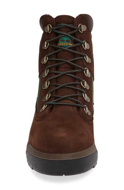 Shop Timberland Field Waterproof Boot In Old River Brown/ Waterbuck