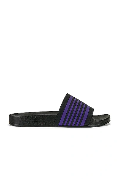 Shop Needles Shower Sandals In Black & Purple