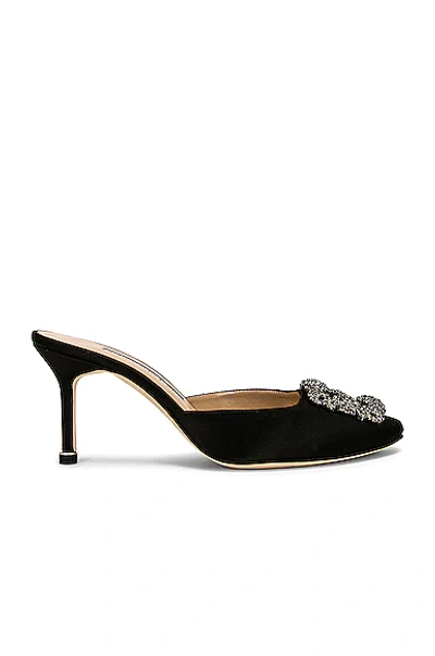 Shop Manolo Blahnik Hangisimu 70 Mule In Black