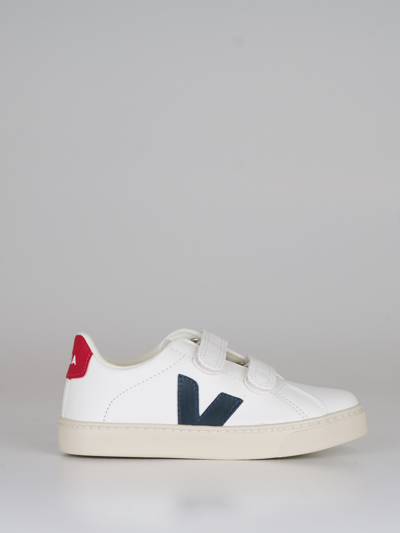Shop Veja Leather Sneaker In Bianco-blu