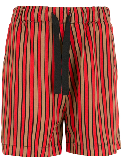 Shop Osklen Stripe-print Drawstring-waist Deck Shorts In Red