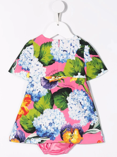 Shop Dolce & Gabbana Floral-print Short-sleeved Dress In Pink