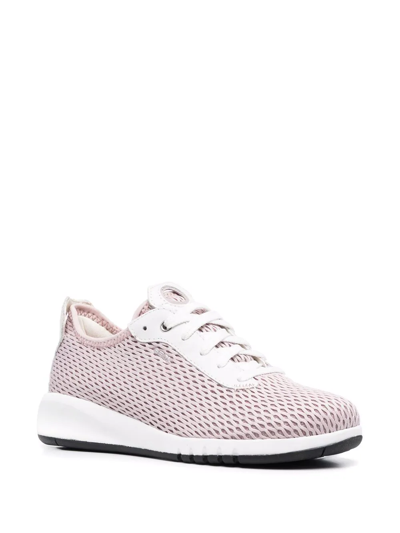 Geox Aerantis Low-top Trainers In Pink
