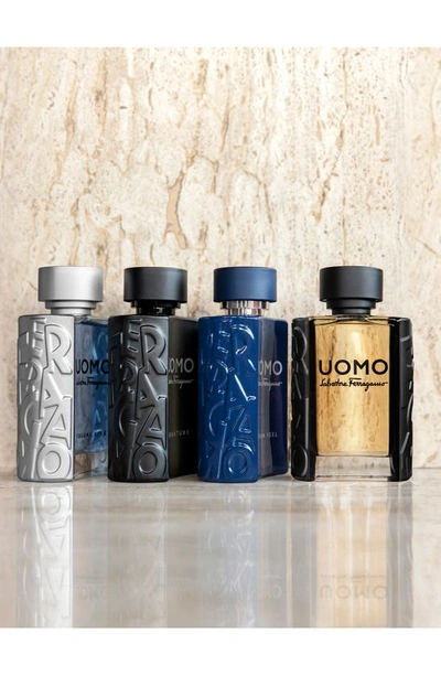 Ferragamo Uomo Urban Feel Eau De Toilette