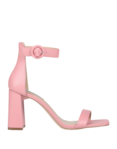 Shop Steve Madden Riveting Sandal Woman Sandals Pink Size 6 Soft Leather