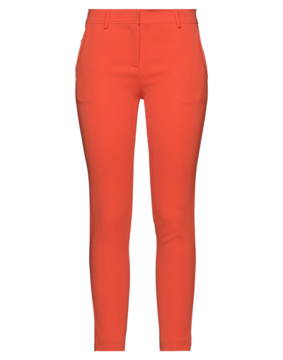 Shop Atos Lombardini Pants In Orange