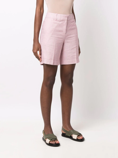 Shop Michael Michael Kors Cotton Tailored Shorts In Rosa