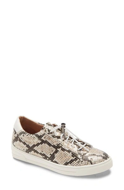 Shop Linea Paolo Kirby Sneaker In Dark Brown Snake Print Leather