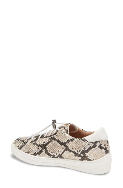 Shop Linea Paolo Kirby Sneaker In Dark Brown Snake Print Leather