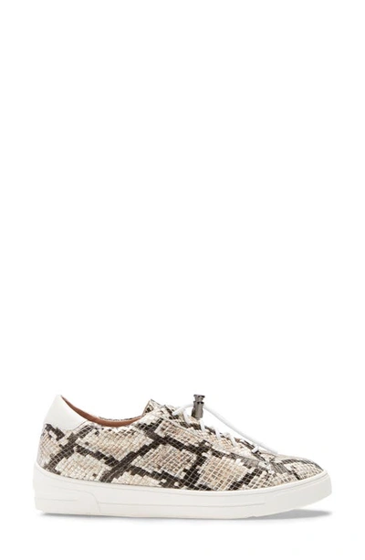 Linea Paolo Kirby Sneaker In Dark Brown Snake Print Leather