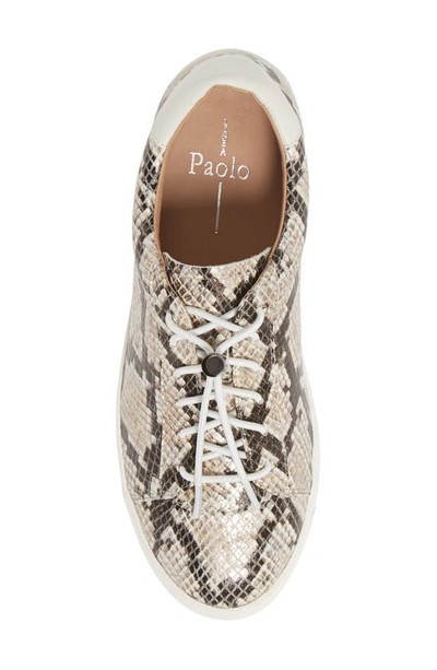 Shop Linea Paolo Kirby Sneaker In Dark Brown Snake Print Leather