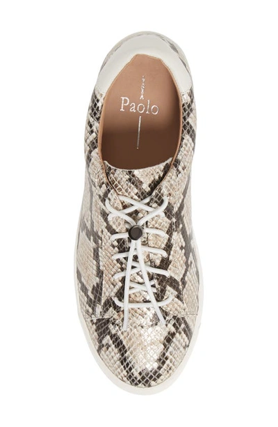 Linea Paolo Kirby Sneaker In Dark Brown Snake Print Leather