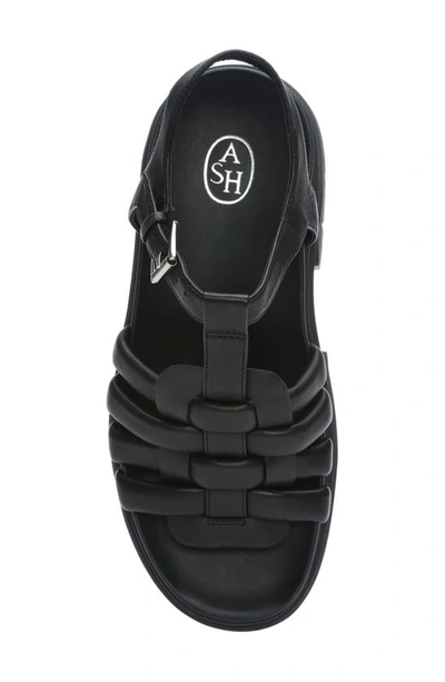 Shop Ash Sirena Platform Sandal In Black