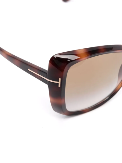 Tom Ford Jasmin Injection Plastic Butterfly Sunglasses In Brown