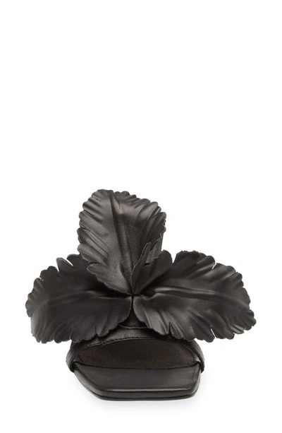 Shop Cecelia New York Happy Leather Sandal In Black