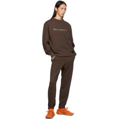 Shop Adidas X Humanrace By Pharrell Williams Ssense Exclusive Brown Humanrace Basics Lounge Pants In 057a