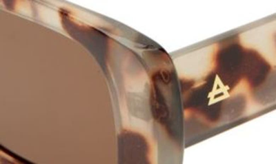 Shop Aire Ceres 51mm Rectangular Sunglasses In Cookie Tort / Brown Mono