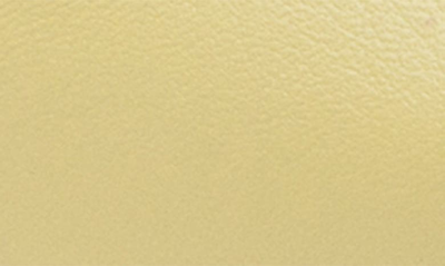 Linea Paolo Nora Pointed Toe Flat In Lemon Zest