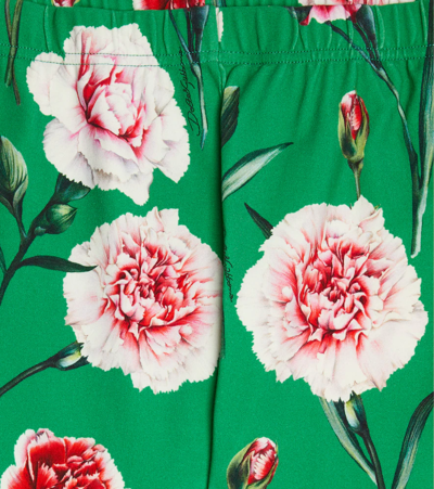 Dolce & Gabbana Floral-print Cotton-blend Leggings In Garofani Fdo Verde