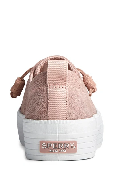 Shop Sperry Crest Vibe Serpent Platform Sneaker In Blush