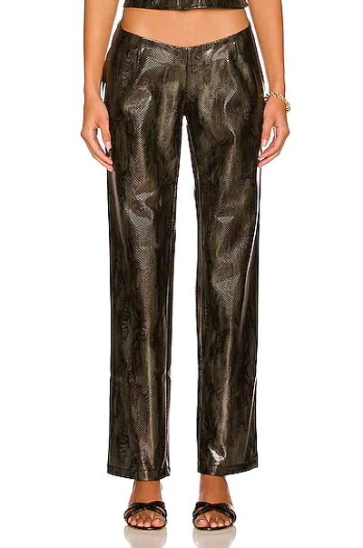 Shop Miaou Rex Pant In Forest Python