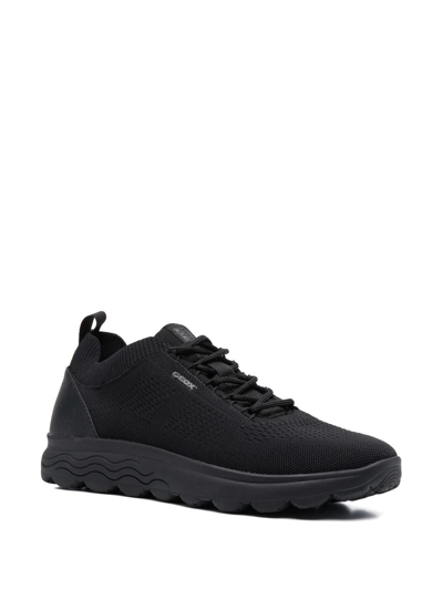 Shop Geox Spherica Lo-top Sneakers In Black